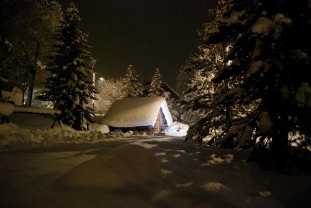 Chalet Orchidea Canazei Exterior foto
