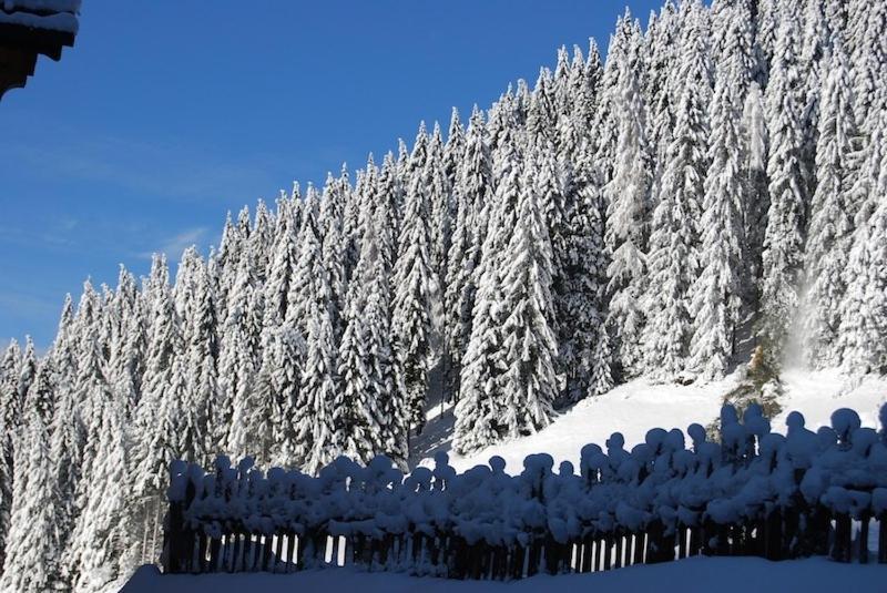 Chalet Orchidea Canazei Exterior foto